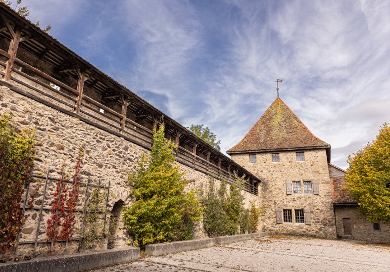 Château de Vaulruz, Switzerland, Switzerland